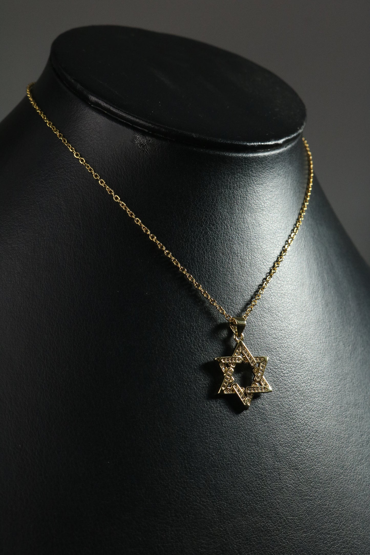 Estrella de David ICE