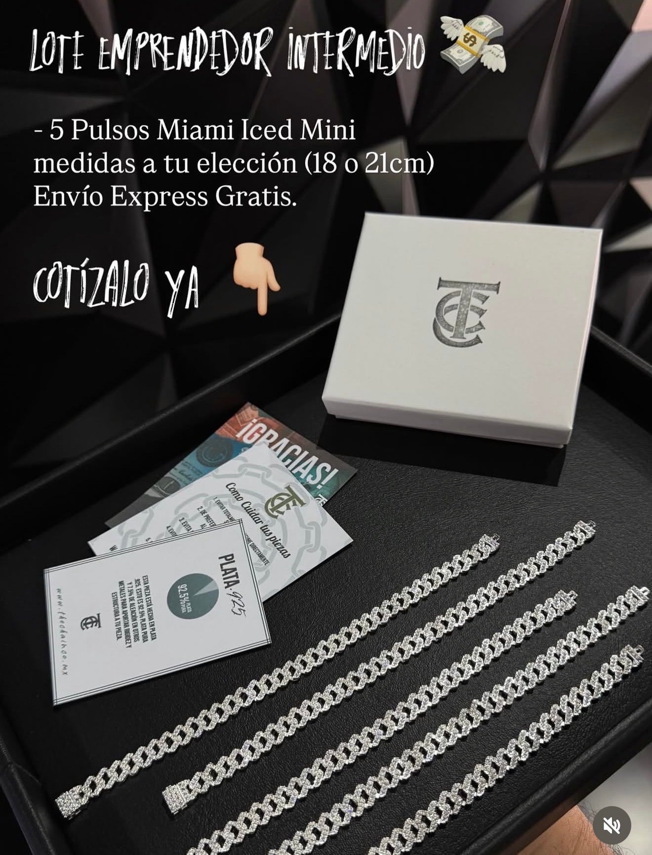 Paquete 5 Pulsos Miami Iced Mini