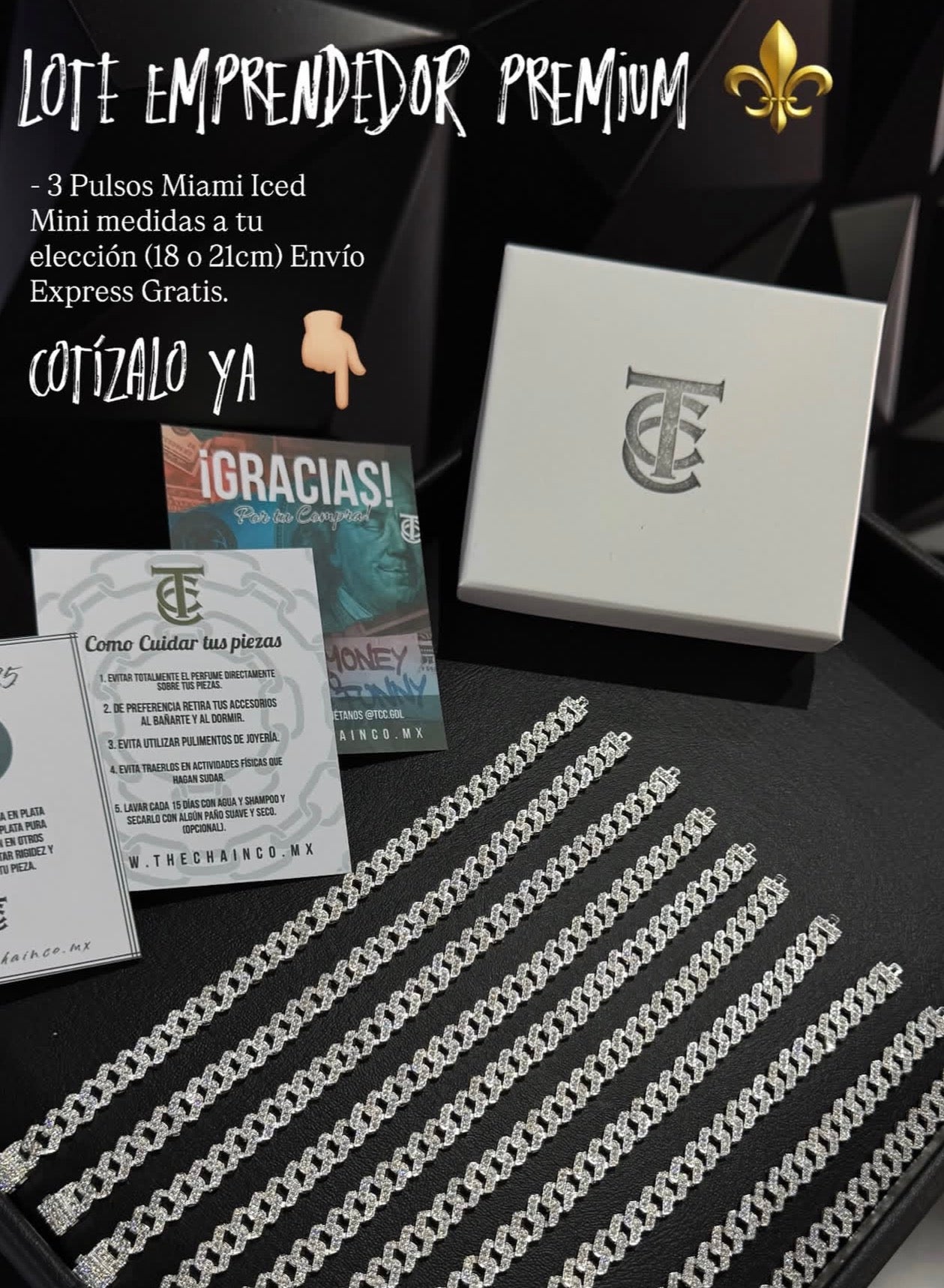 Paquete 10 Pulsos Miami Iced Mini